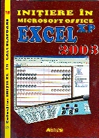 Initiere in Microsoft office EXCEL xp 2003 de Elvira Nicoleta BIZDOACA si altii miracol.ro